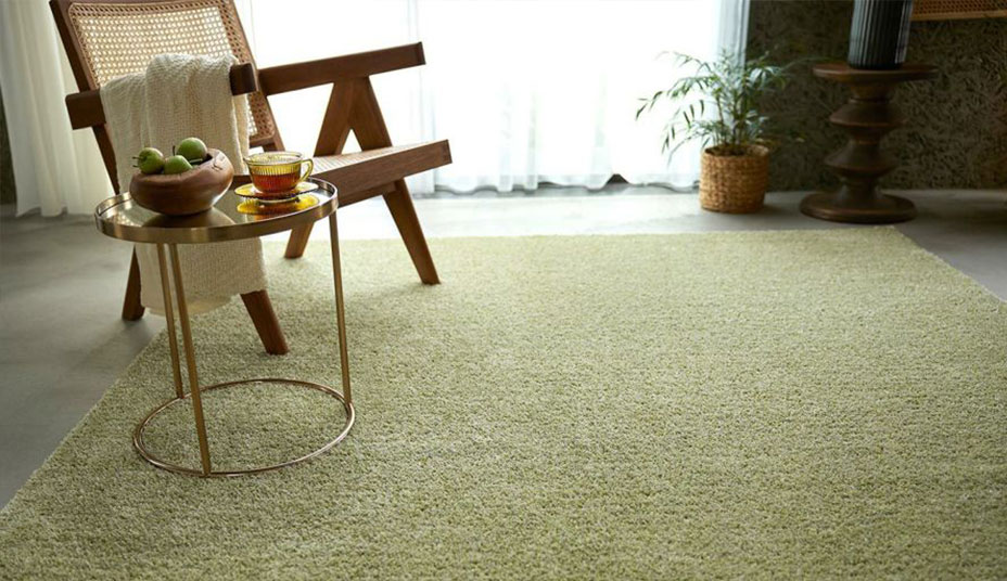 カーペットを掃除しないとどうなる?掃除は毎日するべきなの?