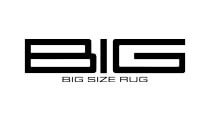 BIG SIZE RUG