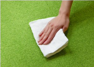 洗剤やシミ取り剤は、カーペットに直接付けない