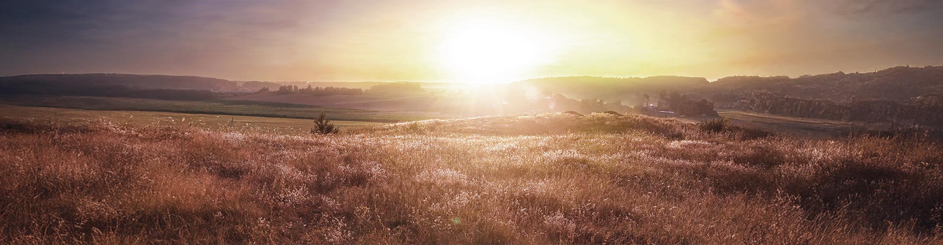 ベルギー・フランダース地方