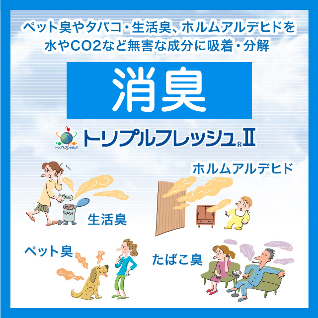 消臭カーペット