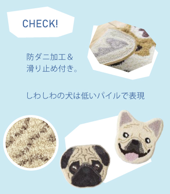 イヌカオ　チェックポイント