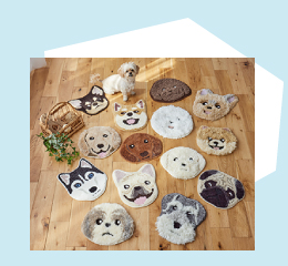 イヌカオ　ラインナップ