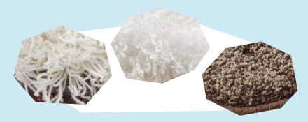 イヌカオ　アップ