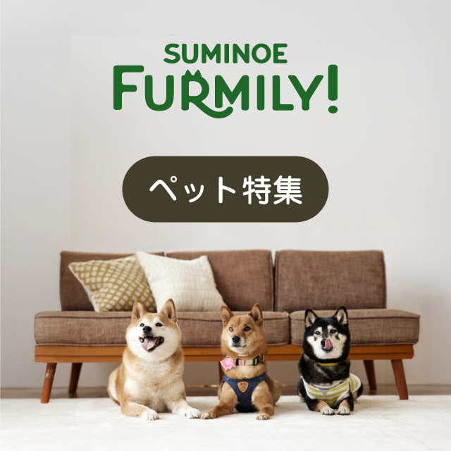 スミノエのペット商品が大集合！