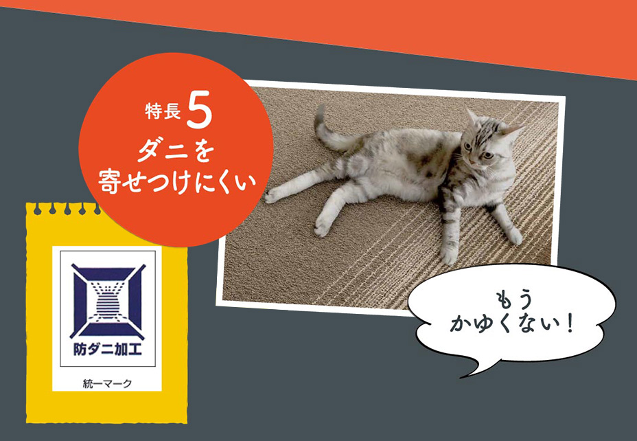 ペット用ラグができました