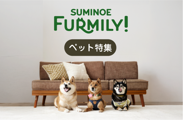 ペット特集