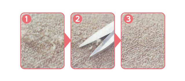 ほつれた部分を周囲の毛と同じ高さに切っておけば元通り